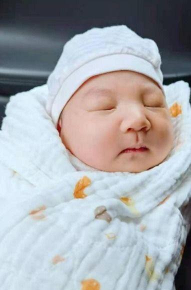 爆料林生斌视频号,一场关于爱与真相的较量