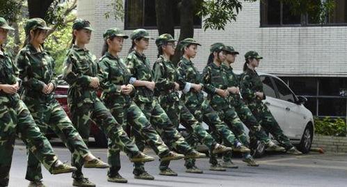 军训最新爆料新闻报道,揭秘神秘训练内容与幕后故事